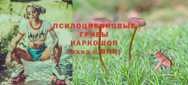 твердый Абдулино