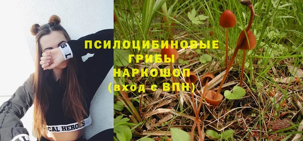 каннабис Алексин