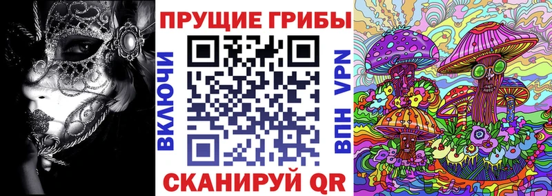 omg ТОР  Княгинино  Псилоцибиновые грибы GOLDEN TEACHER 